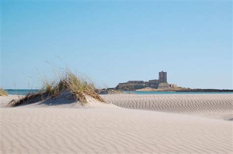 https://guiadecadiz.com/sites/default/files/playa/Bahia_de_Cadiz/San_Fernando/Playa_El_Castillo/playa-del-castillo.jpg