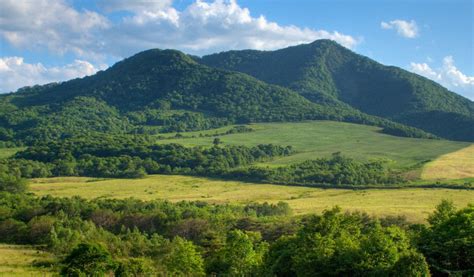 Delta New Palm Beach | 2 & 3 BHK Hill View Homes