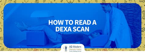 Image result for Dexa Scan Interpretation