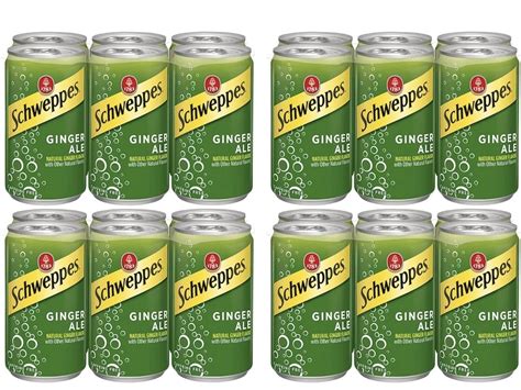 Schweppes Ginger Ale Soda, 7.5 Fl Oz Can (Pack of 24, Total of 180 Oz ...