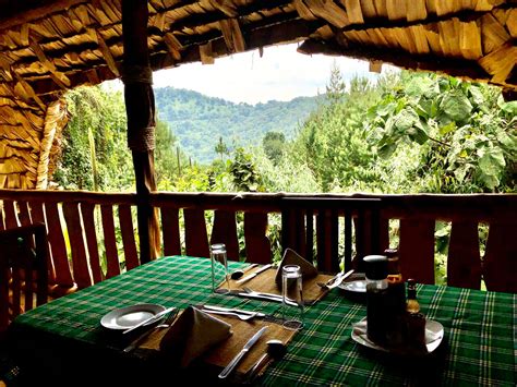 Broadbill Forest Camp has fantastic accommodation services for the ...