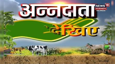 Annadata | आम के बागों की कैसे करें देखभाल, देखिए कीट नियंत्रण के विषेश ...