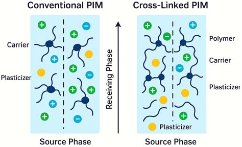 Recent Developments in Polymer Inclusion Membranes: Advances in ...