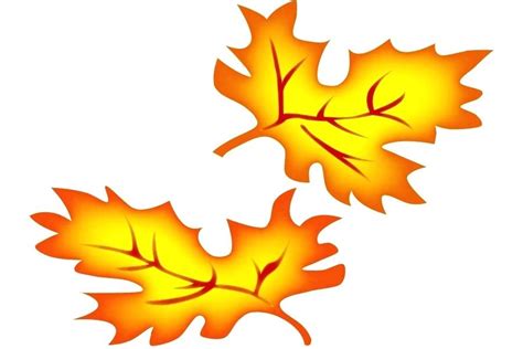 Image result for Fall Leaves Drawing
