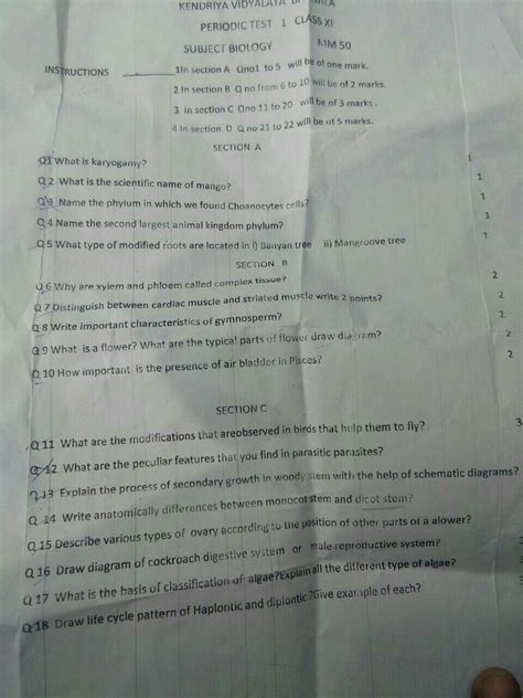 what is taxonomic categories - Brainly.in