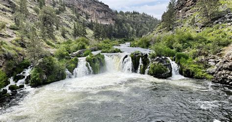 Discover Steelhead Falls: A Central Oregon Hiking Gem - Muddy Camper