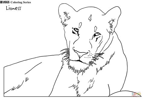 Lioness coloring page | Free Printable Coloring Pages