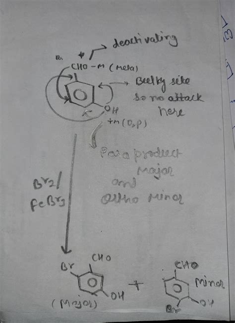 The major product of the reaction cho br/febr oh s cho cho cho cho br ...