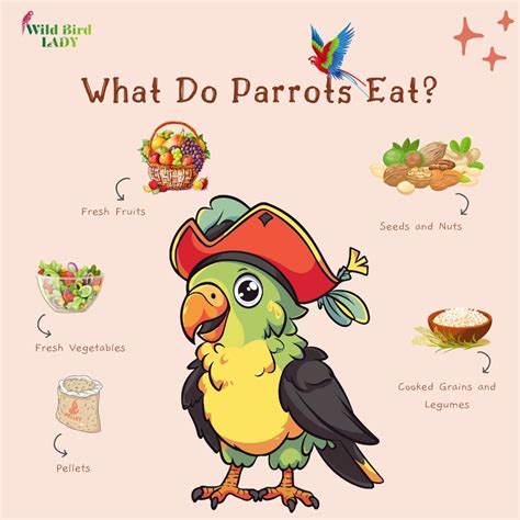 What Do Parrots Eat? A Complete Guide to the Ideal Parrot Diet