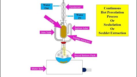 Percolation Extraction Process 的图像结果