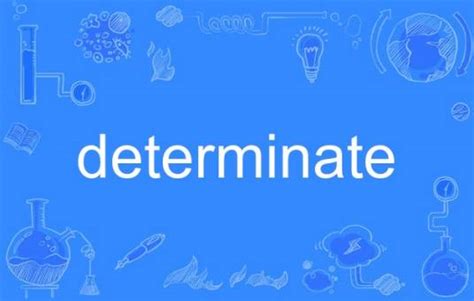 Determinate in Python 的图像结果