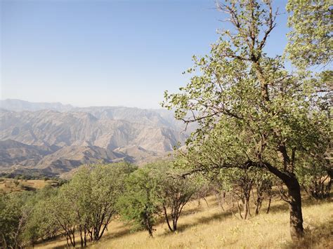 Zagros Mountain Range | Top Attractions and Peaks - Where Nature Merge ...