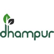 Dhampur Sugar Mills Share Price Today - Dhampur Sugar Mills Stock Price ...