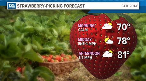 Weather For Strawberry Arizona