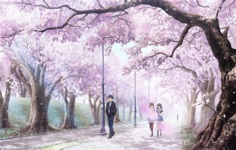 找一部日本动漫，第一集是开学背景是樱花。学校教打斗，男主武器是盾_百度知道
