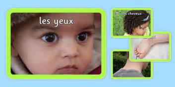 Parts of the Body Photo Pack French (teacher made) - Twinkl