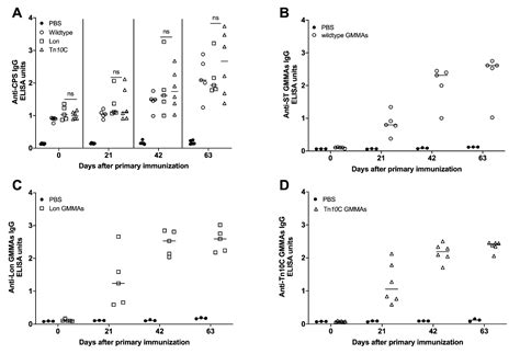 A GMMA-CPS-Based Vaccine for Non-Typhoidal Salmonella