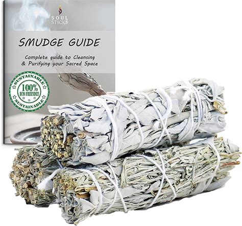 3 Pack Mixed White Sage and Blue Sage Smudge Sticks | Grown in ...