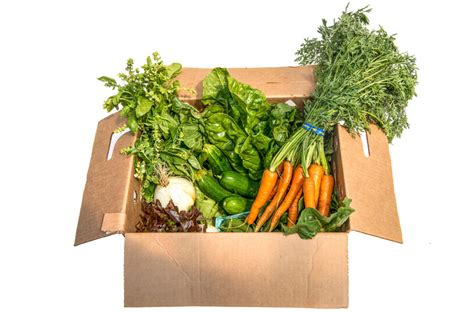 CSA Community Supported Agriculture 的图像结果