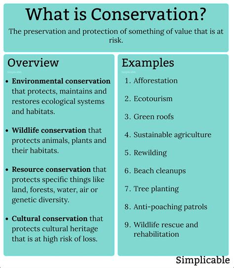 What is Conservation? (130 Examples) - Simplicable