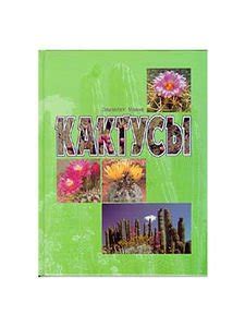 Amazon.in: Buy Estudios De Derecho Romano Comparado E Book Online at ...