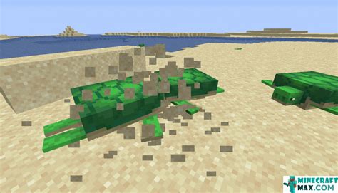 Turtle Tutorial Minecraft 的图像结果