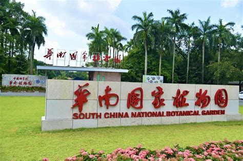 华南国家植物园正式揭牌-新华网