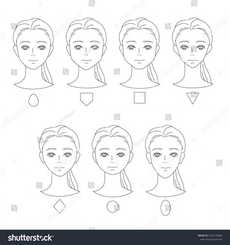 Female Face Shapes By Type Stock Vector (Royalty Free) 1629173899 ...