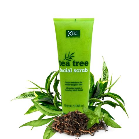 Buy Tea Tree Facial Scrub 250 ml Online at Low Prices in India - Amazon.in