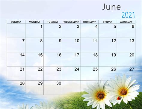Download June 2021 Calendar Wallpaper | Wallpapers.com
