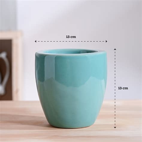 Nature's Hum Slim Ceramic Planter – Ugaoo