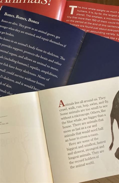 Image result for 11 Study of Animal Jr Tutorial