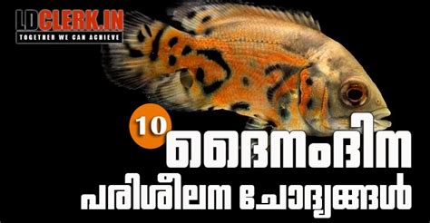 Expected/Model Questions for LDC | VEO | VFA | LGS | 10 Level Prelims ...