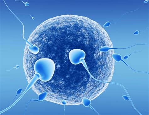 Facing Problem in Conceiving? Try These Tips To Boost Sperm Count ...