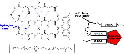 Image result for Silk Polymerization