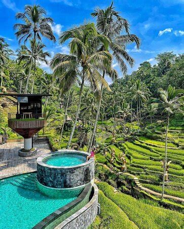 CRETYA UBUD - Menu, Prices & Restaurant Reviews - Tripadvisor