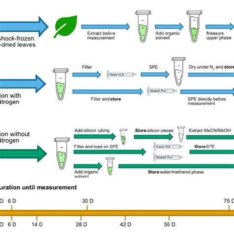 Extraction Method 的图像结果