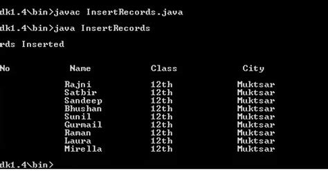 Insert into Access SQL 的图像结果