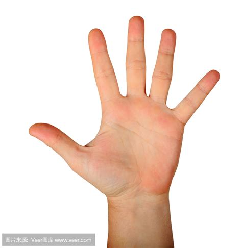 五个手指_五个手指叫法_微信公众号文章