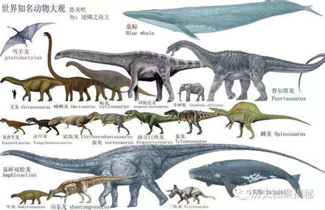 恐龙图片 最全的恐龙的资料图片大全和名字_美图美句