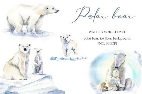 Baby Polar Bear Clip Art