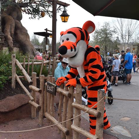 MEET A FRIEND FROM THE HUNDRED ACRE WOOD IN THE UNITED KINGDOM (2026 ...