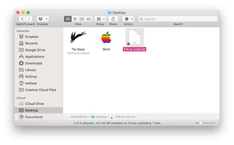 Image result for Lock File Mac