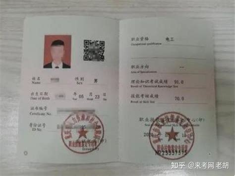 外国人签证证件申请表(新)Word模板下载_编号lekbkvmb_熊猫办公