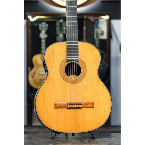 Image result for Levin Notes