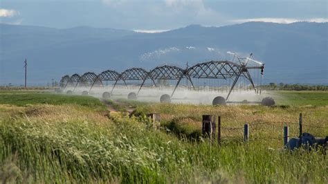 Sea Level 的图像结果