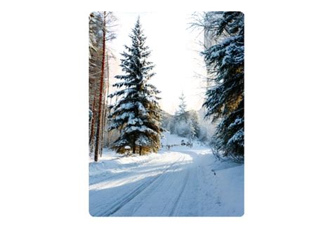 Snowy winter village PNG image - Photo #4680 - BiNps PNG Website