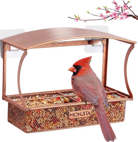 Amazon.com : Monjita Window Bird Feeder, Durable Metal Bird Feeder ...
