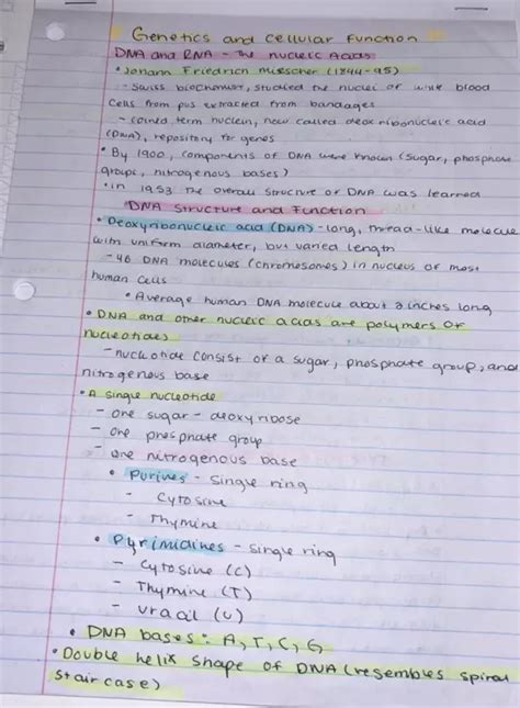 Cellular Function 的图像结果