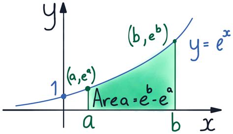 Integration of Exponential Function 的图像结果